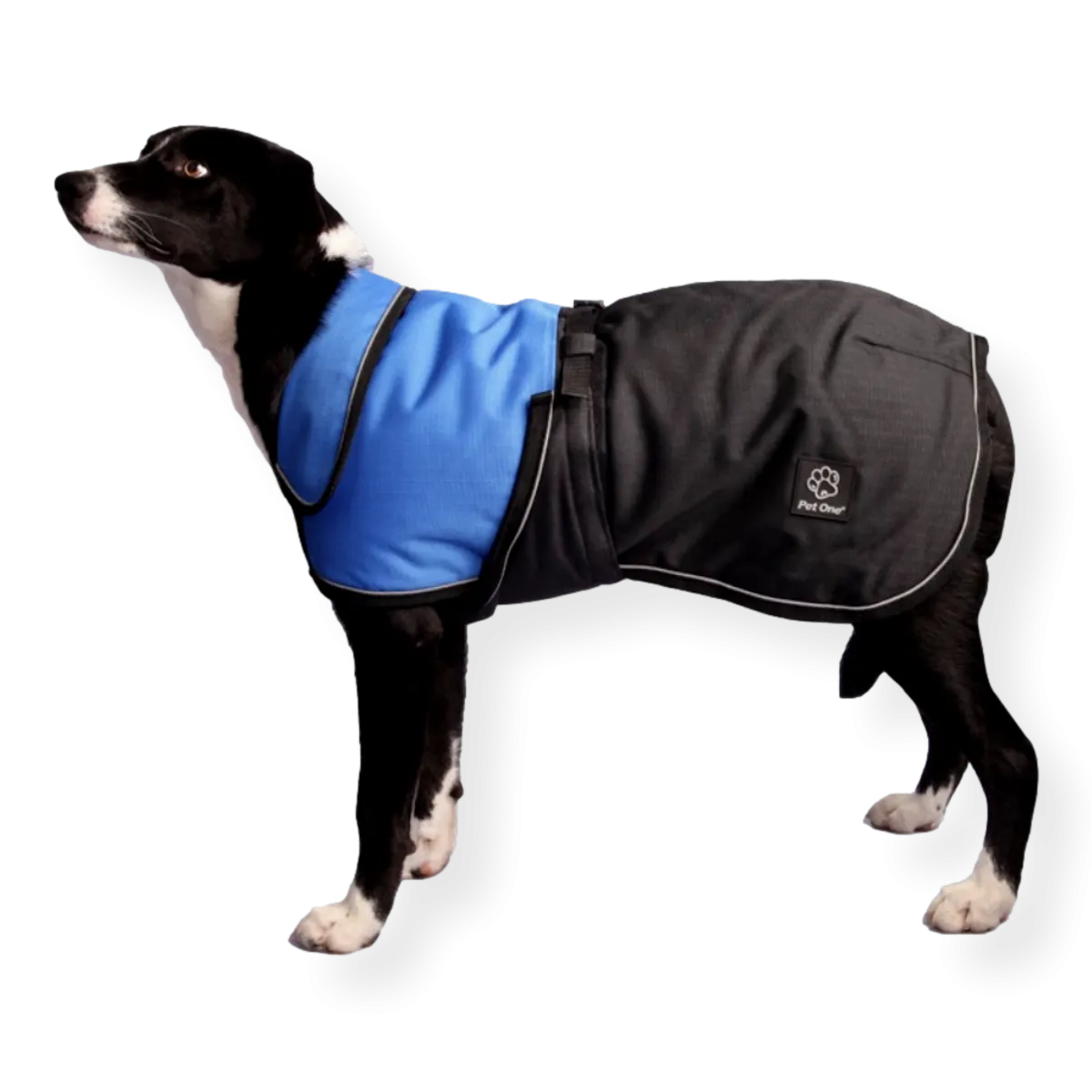 Pet One Blizzard Dog Coat Blue